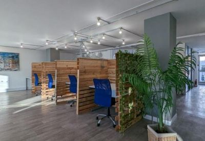 Coworking space featuring wooden partitions, blue desk chairs, and indoor greenery.