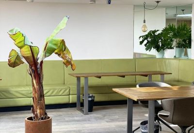 Bright coworking area with green banquette seating, wooden tables, and a large indoor banana plant.