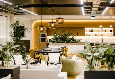 Casual breakout area with a central plant feature, pendant lights, and comfortable lounge seating.