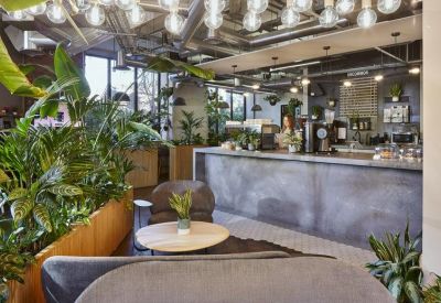 Bright breakout space with an industrial bar counter and lush indoor plants.