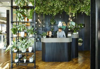 Stylish reception area with a dark fluted desk and plants hanging from the ceiling.