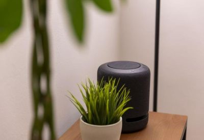 Close-up of a smart speaker and small potted plant on a wooden desk.