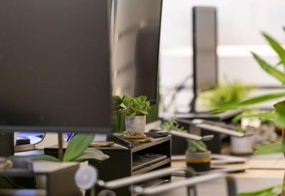 Multiple computer workstations with potted plants and tiered desk organizers.