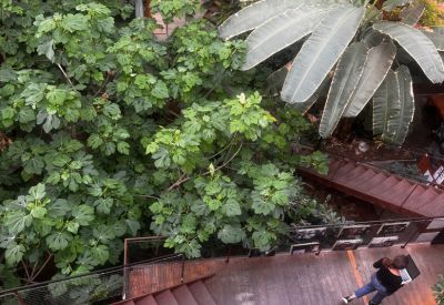 Serviced offices to rent in Barcelona