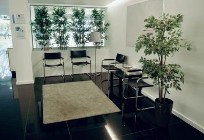 Stylish waiting area with black leather chairs, a light rug, and lush indoor greenery.
