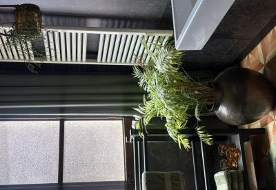 Well-lit washroom area with green plants and a large window.