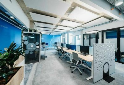Bright open-plan workspace with acoustic ceiling panels and blue accent walls.