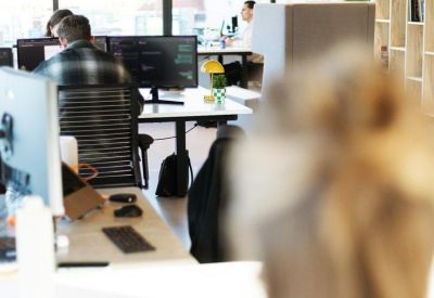 Modern open-plan workspace with professionals working at computer desks under square pendant lights.