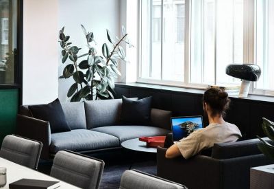 Lounge area with a grey sofa, dark cushions, and a large rubber plant.
