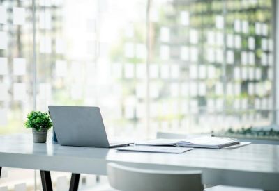 Minimalist office desk with a laptop and small potted plant in a bright, sunlit room.