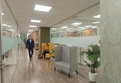 Long office corridor with glass partitions, a yellow lounge chair, and a decorative potted plant.