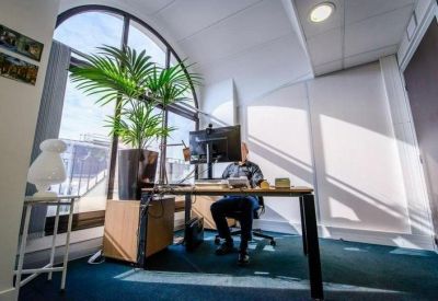 Bright office workspace featuring a large arched window, indoor palm plants, and a desk with a monitor.