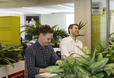 Modern open-plan office space featuring wooden desks, indoor greenery, and natural light.
