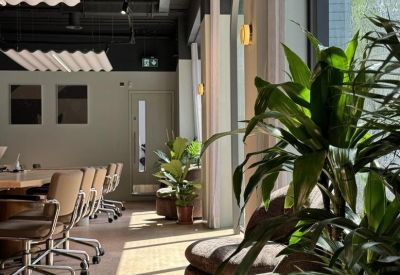 Close-up of a sunlit lounge area with comfortable seating and indoor greenery.