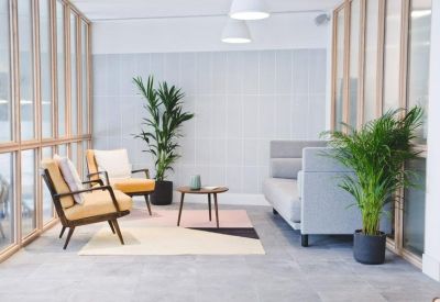 Bright lounge area with yellow armchairs, potted palms, and a grey sofa.