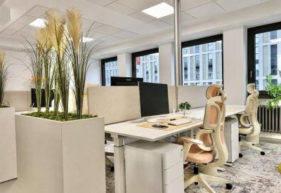 Professional workspace featuring glass partitions and tall decorative grass planters.
