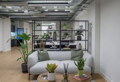 Lounge area with a grey sofa, plants, and a black metal shelving unit divider.