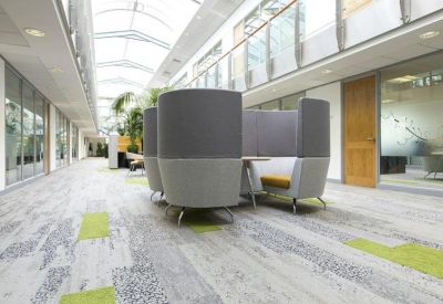 Sunlit communal breakout area with high-backed acoustic seating pods and indoor trees.