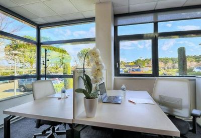 Shared workspace with a white desk, laptop, and orchid plant by a large window.