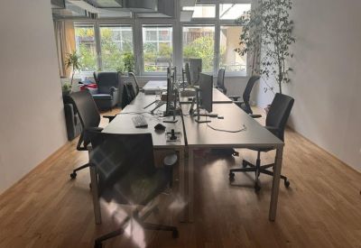Workspace with long shared desks, computer monitors, and indoor plants by the window.