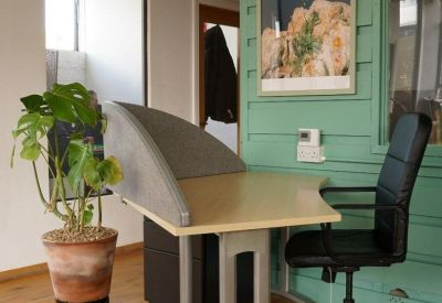 Bright workspace featuring a private corner desk with a grey acoustic screen and a leafy potted plant.