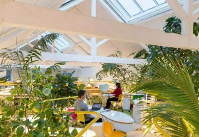Bright open-plan office at 47-49, Princes Place with vaulted skylights and lush indoor plants.