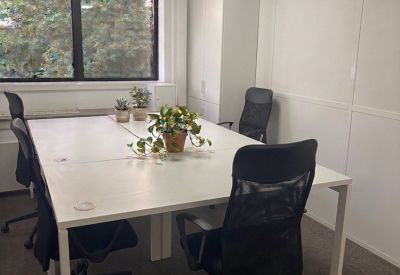 Bright conference table with multiple chairs and vibrant potted plants under a large window.