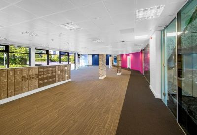 Spacious open-plan office with tan carpeting and a vibrant pink feature wall.