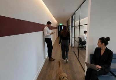 Modern office corridor featuring glass partitions, a dark accent stripe, and wood floors.