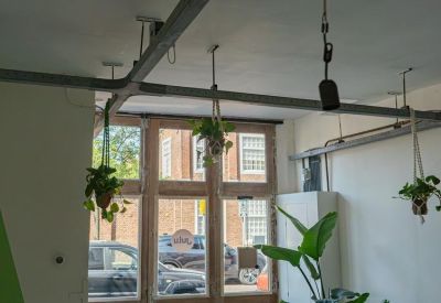 High-ceiling office space featuring hanging potted plants and large windows overlooking the street.