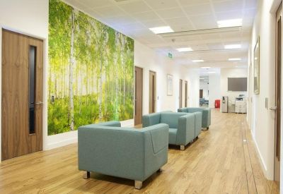 Modern hallway featuring a vibrant forest-themed wall mural and teal lounge seating.
