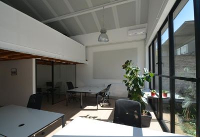 Bright coworking area with white desks, a mezzanine level, and a large potted plant.