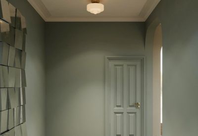 Sage green hallway featuring a unique mirrored wall art piece and classic white door.