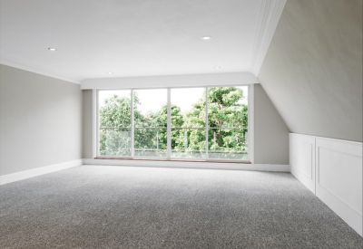 Large open-plan office space with plush grey carpeting and views of lush greenery.