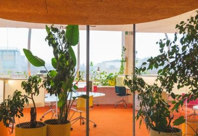 Semi-private meeting pod enclosed by glass and surrounded by large indoor trees.