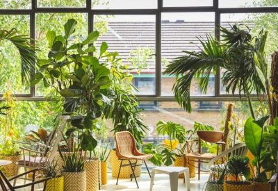 Indoor garden seating area with tropical plants and greenhouse-style windows.