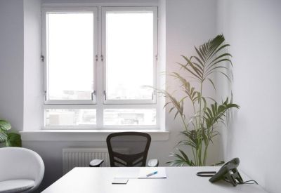 Sunlit private office with a desk, ergonomic chair, and a large green plant.