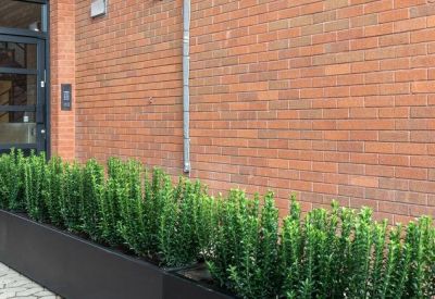 Exterior brick building entrance featuring a long black planter with green shrubs.