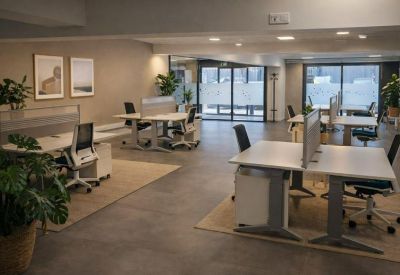 Large open-plan coworking area with various desk clusters, area rugs, and indoor plants.