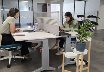 Two people working at a white sit-stand desk with a privacy partition and potted plant.