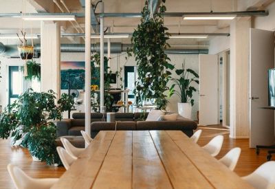 Open workspace featuring a long wooden table and greenery.