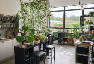 Bright communal kitchen area filled with various potted plants and a large window.