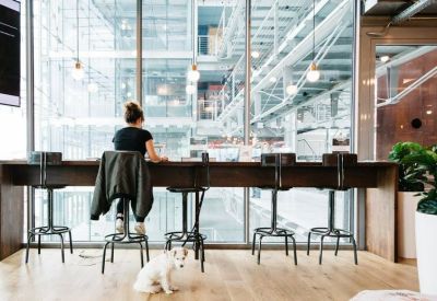 Bright coworking space featuring a long wooden bar table overlooking a modern glass atrium.