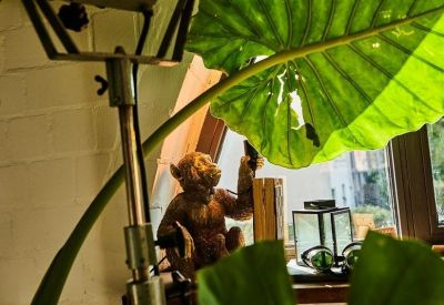 Close-up of a decorative monkey statue on a window sill next to large green leaves.