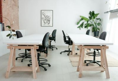 Shared office desks with ergonomic black chairs and a large potted plant against a white wall.