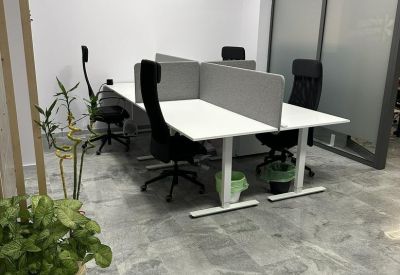 Modern workspace featuring white desks with grey privacy screens and indoor plants.
