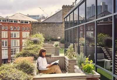 Sunlit rooftop terrace with wooden seating and lush perimeter plantings.