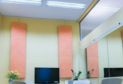 Meeting room with peach acoustic panels, a monitor, and yellow flowers.