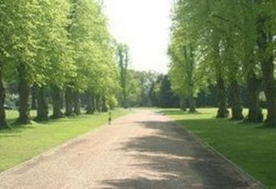 Long tree-lined gravel driveway leading through green lawns.