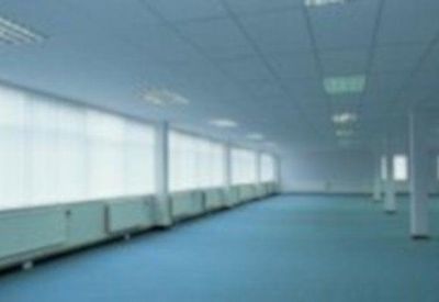 Large open-plan office space with blue carpeting and rows of windows with radiators.